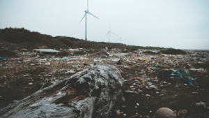 How to effortlessly reduce your company’s plastic usage header image