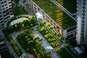 Green cities will play a big part in the fight against climate change.