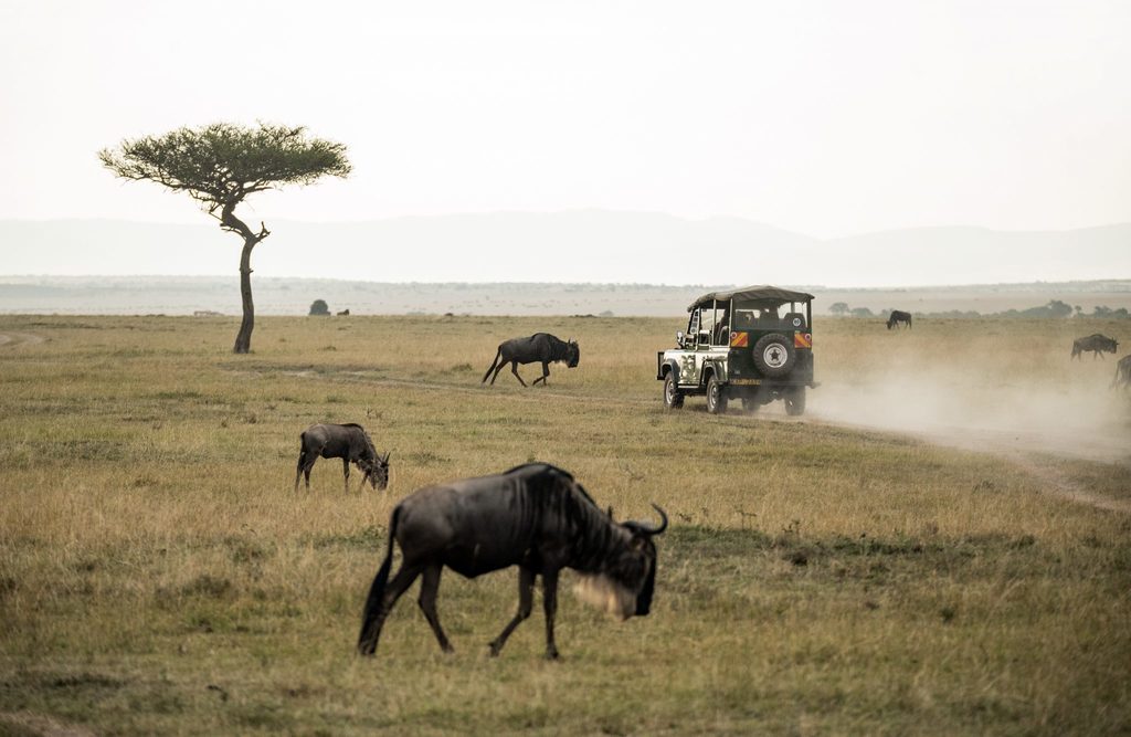 Peaceful co-existence means thinking carefully about travel, tourism and more.