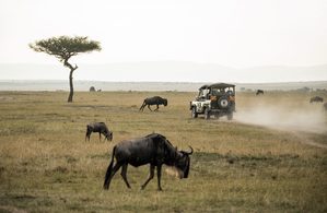 Peaceful co-existence means thinking carefully about travel, tourism and more.