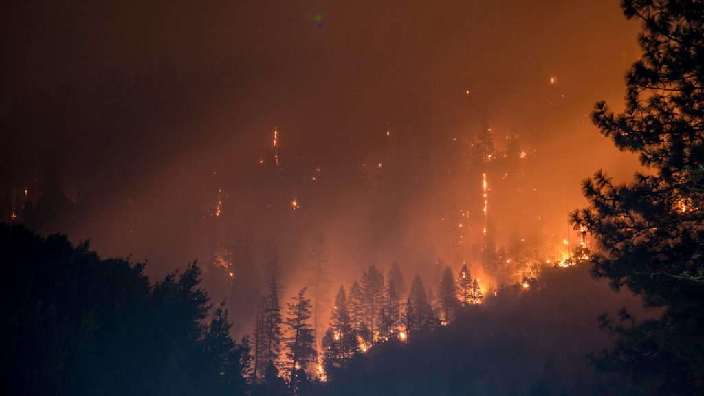 California's wildfires have proved deadly, and a possible side effect of climate change.
