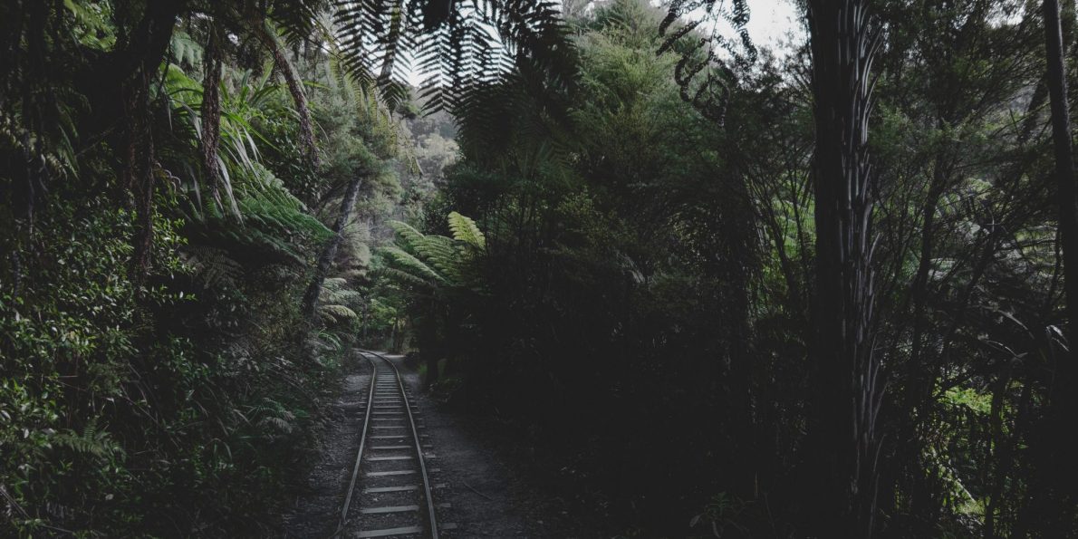 yoal-desurmont-523812-unsplash