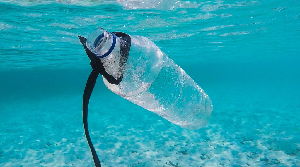 plastic-free body image 2 - plastic bottle floating in the sea