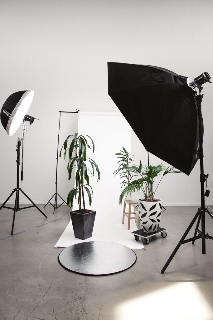 sustainable marketing plan body image 1 - photography setup with plants and lights