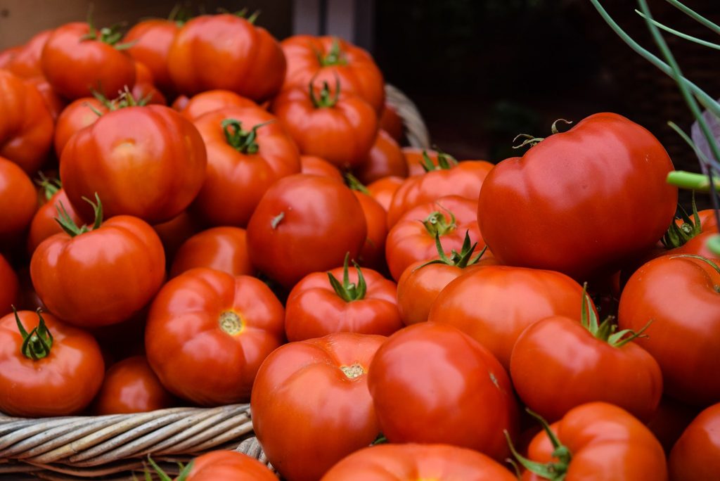 reconnect with sustainability body image 1 - big locally grown tomatoes