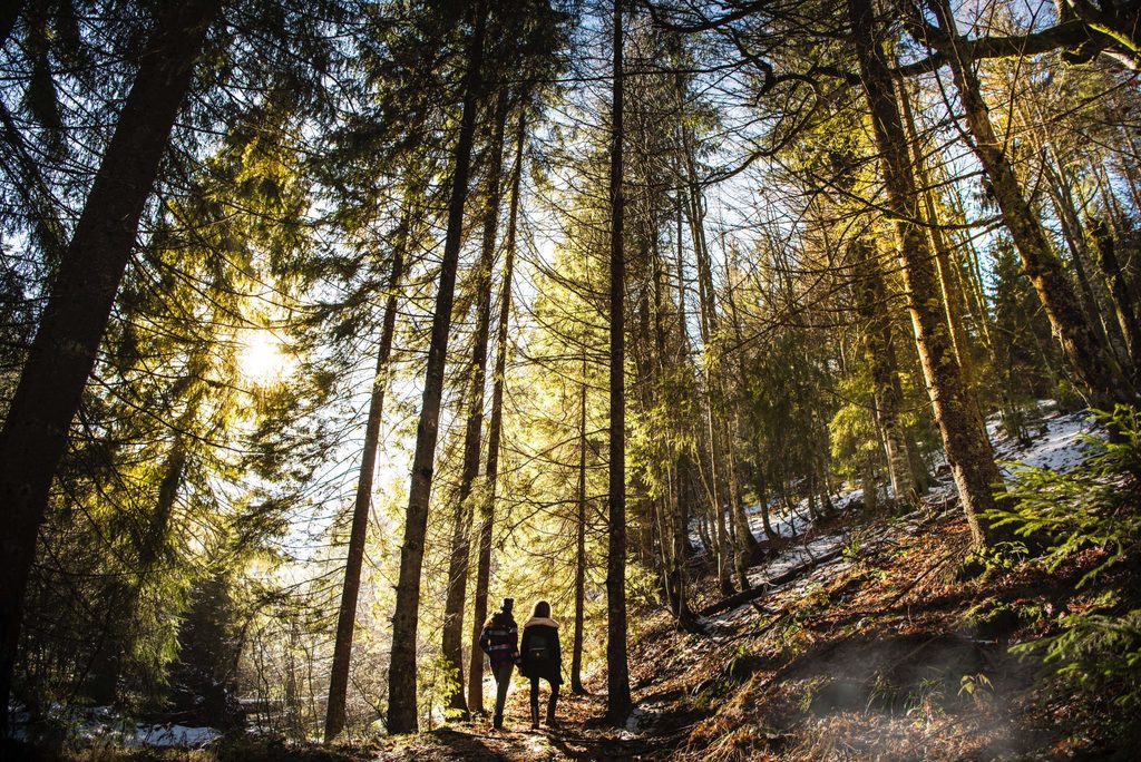 sustainability and mental health body image 4 couple walking through the forest 