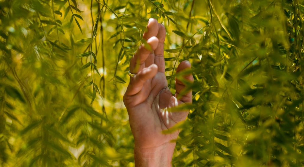 rafael-albornoz-WHY_c8sxghg-unsplash reconnect with sustainability - heading image