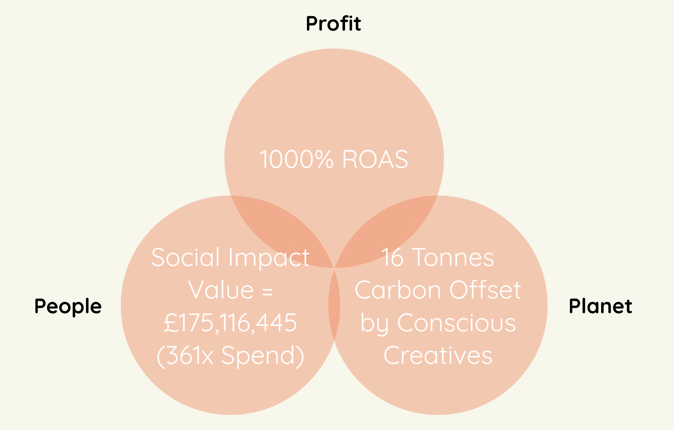 Screenshot 2020-01-02 at 14.12.16 triple bottom line campaign example renewable energy