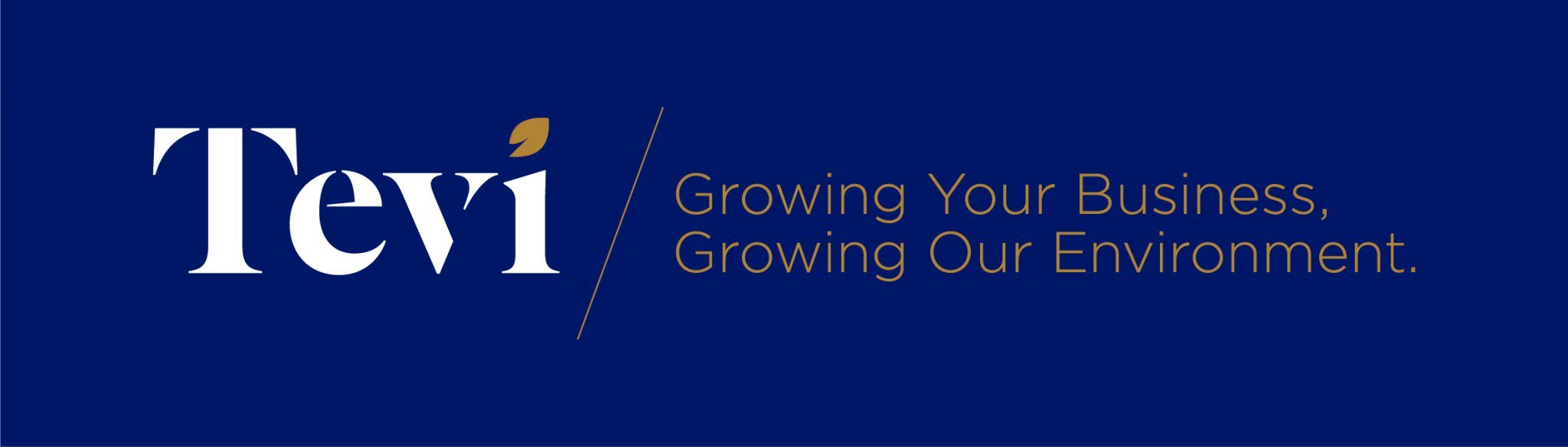 Tevi For Print_Logo with tagline on navy