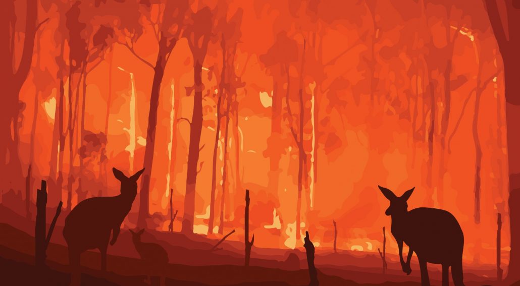 AdobeStock_314192721 australia wildfire taking animals homes