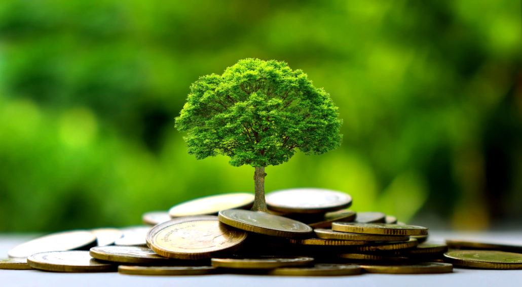 Small trees on a pile of gold coins and a natural green background. Money saving ideas.