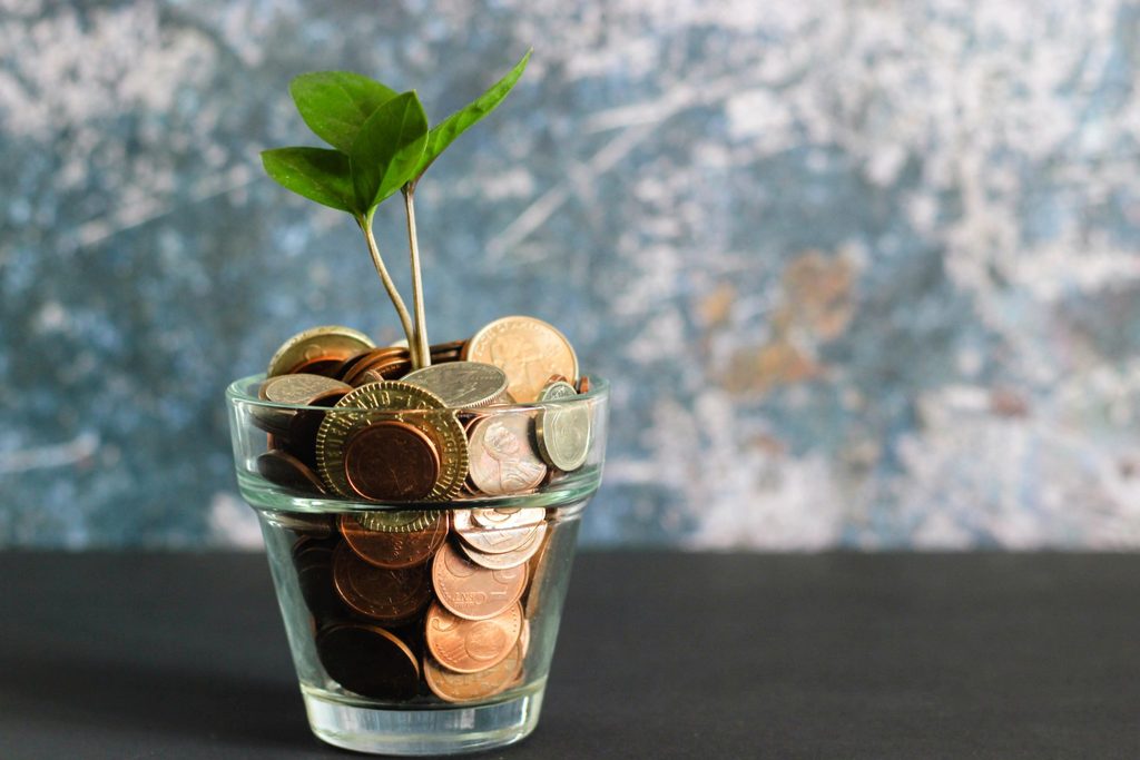 Plant growing from money