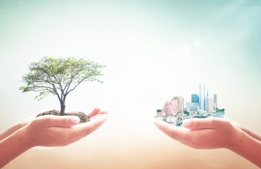 a picture of two pairs of hands. one has a tree in it and the other a city. Highlighting the balance between development and being more in line with nature as the united nations sustainable development goals suggest