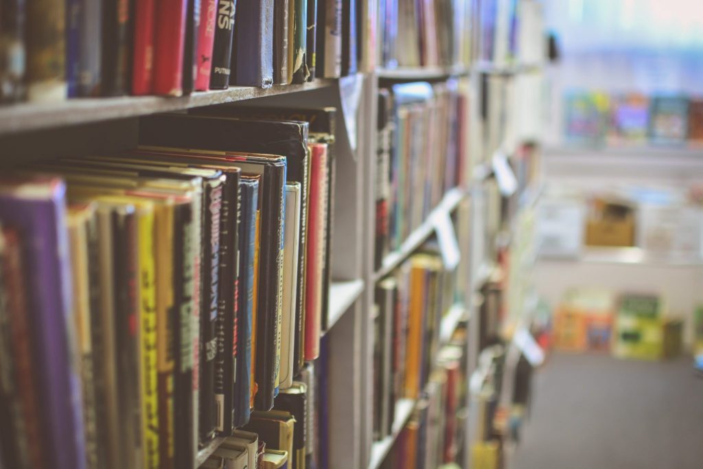 A row of books in a library or other similar education centre