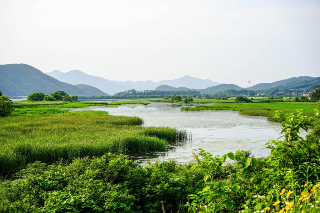 A beautiful open body of clean water showing what proper sanitation can offer